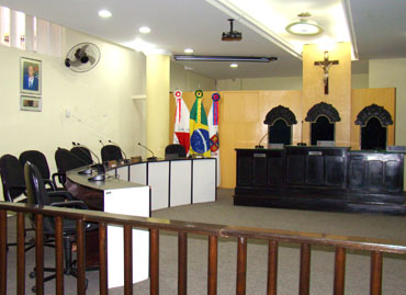 plenario camara